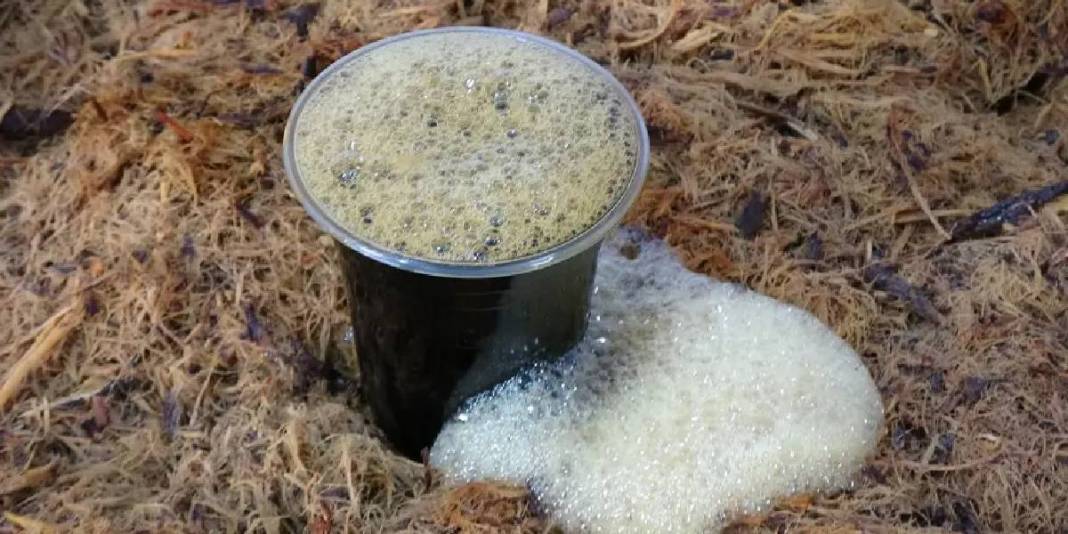 Yazın çok seviliyordu Ramazan’da da talep arttı: Üreticilerin ek mesaisi başladı 1